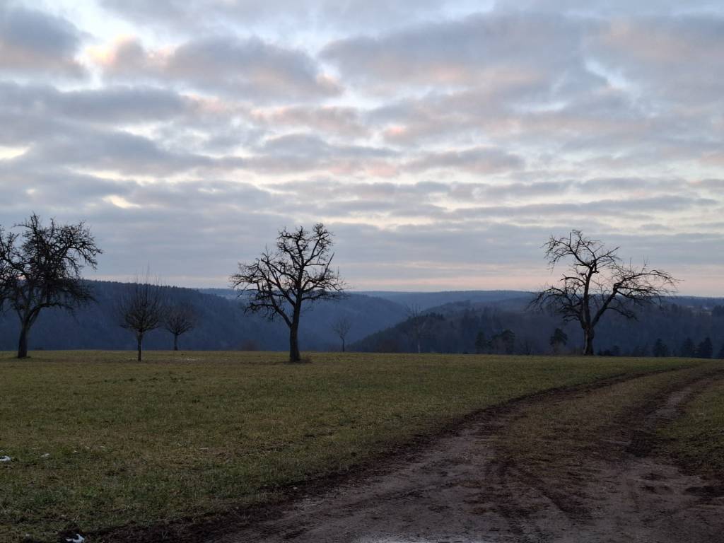 My place of peace in the black forest.