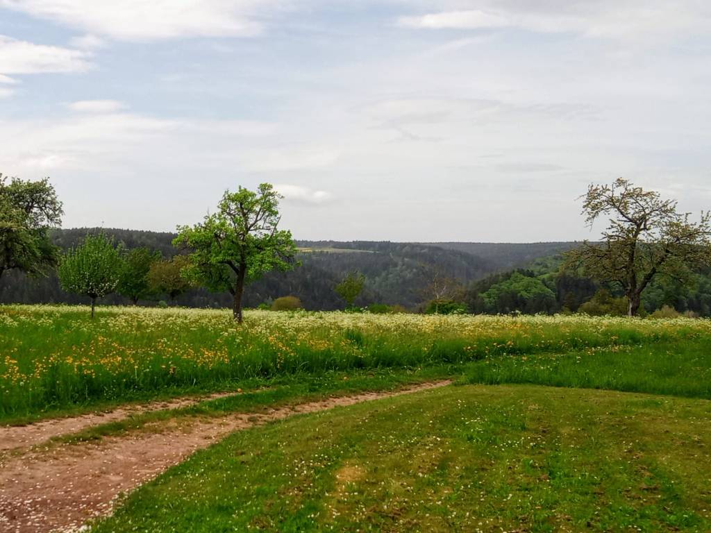 My place of peace in the black forest.