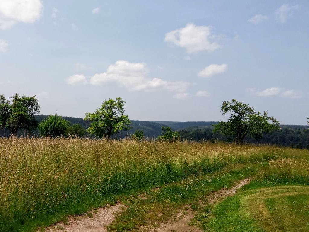 My place of peace in the black forest.