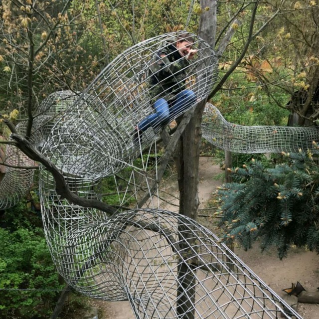 Crawling trough human rat tubes.