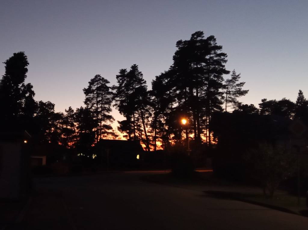 Overcoming Challenges: My journey Coping after&nbsp;Psychosis